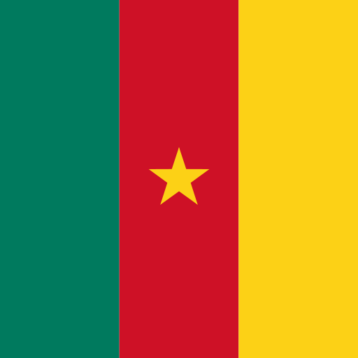 {locationName=Cameroon, locationCode=CM, locationLogo=/img/flags/cm.png, operatorList=[Ljava.lang.Object;@21c5b0a0}